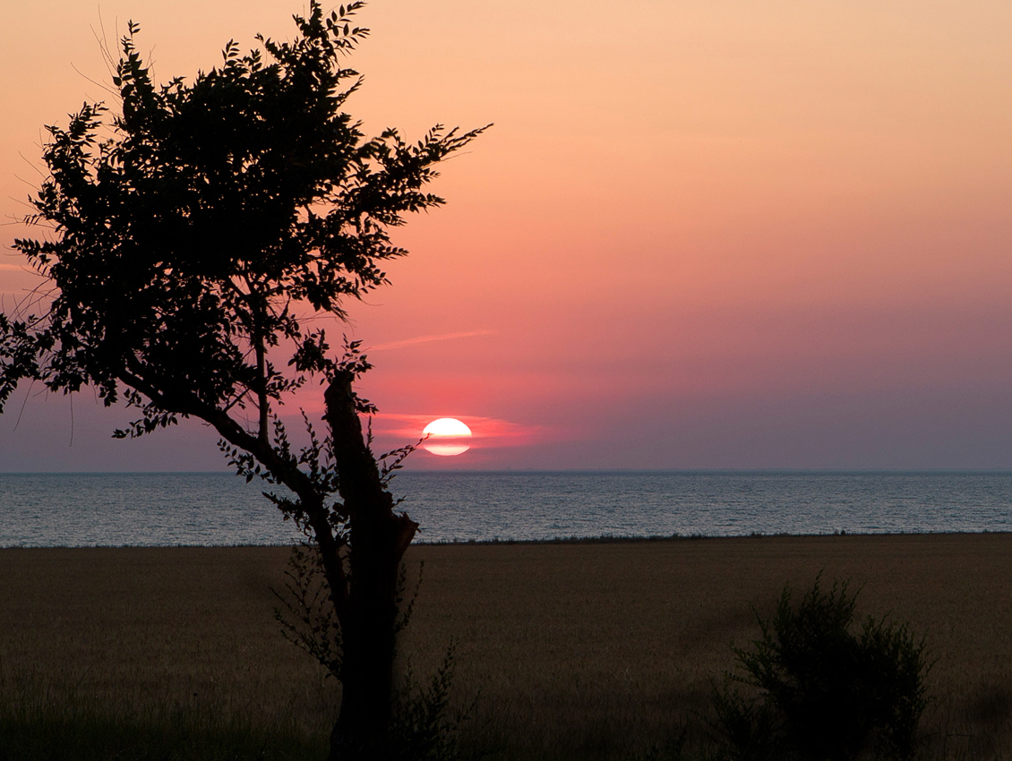 Этюд Заката