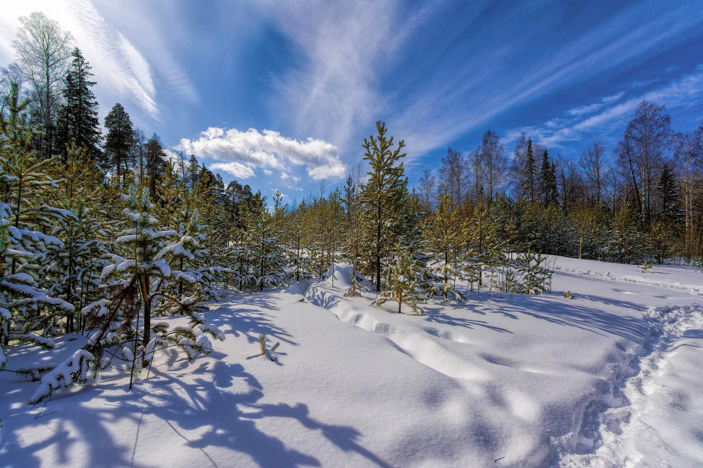 Не уходит зима, не сдается, снегопадом окутала март.