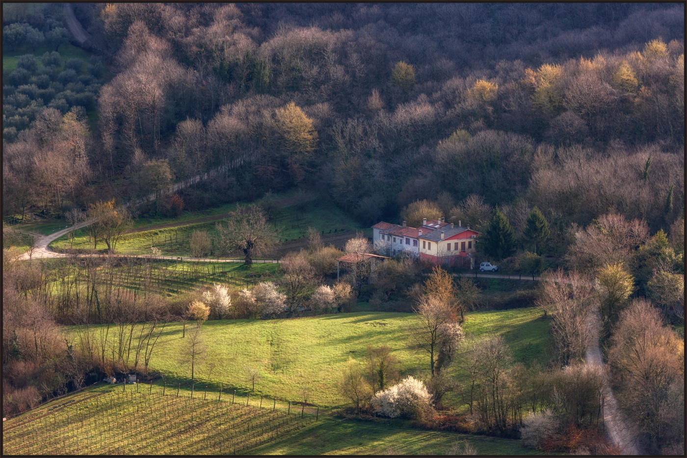 Весна пришла.