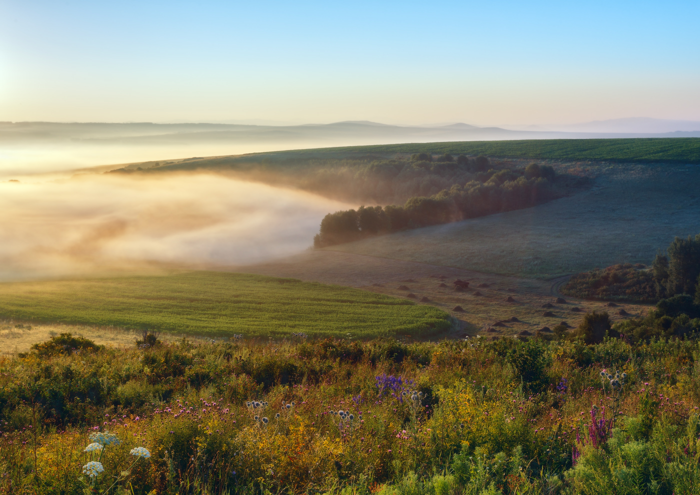 Утро туманное