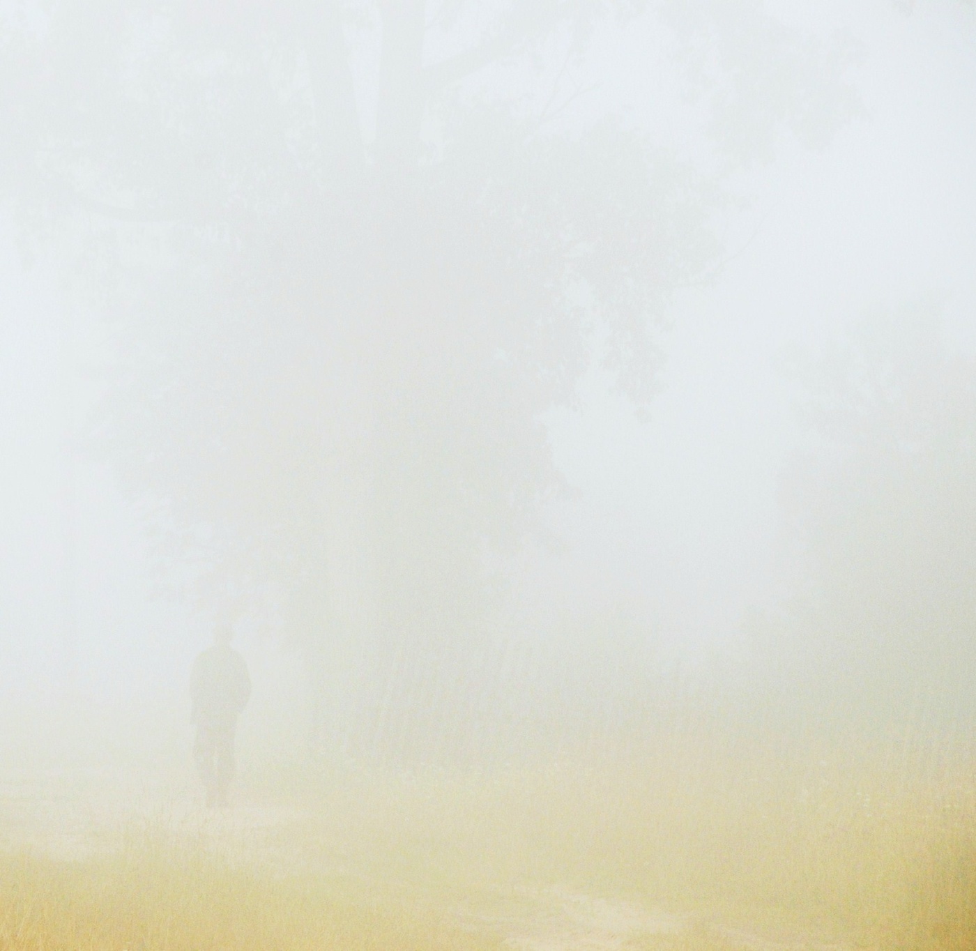 Густой туман ...