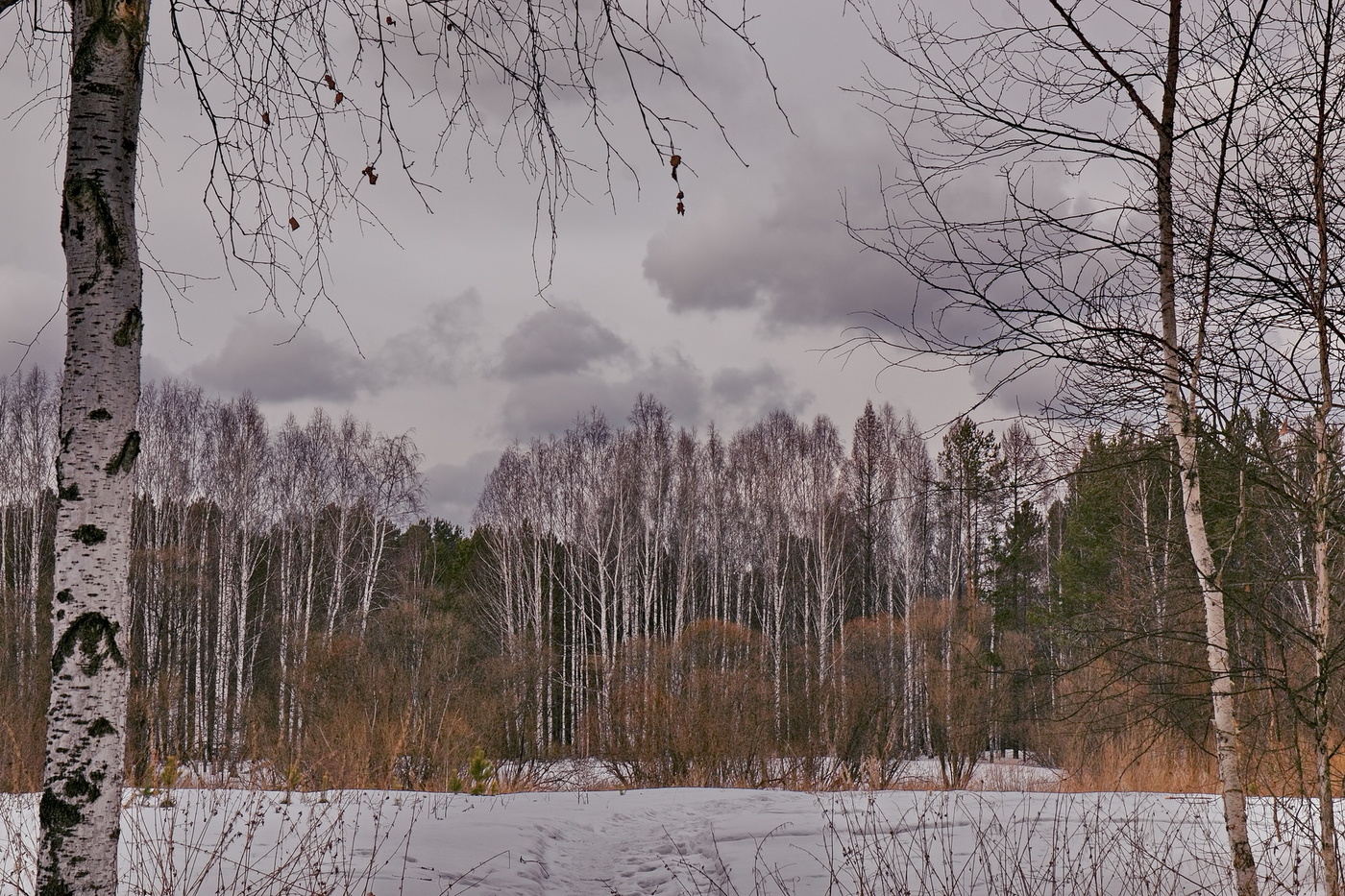 НАЧАЛО ВЕСНЫ