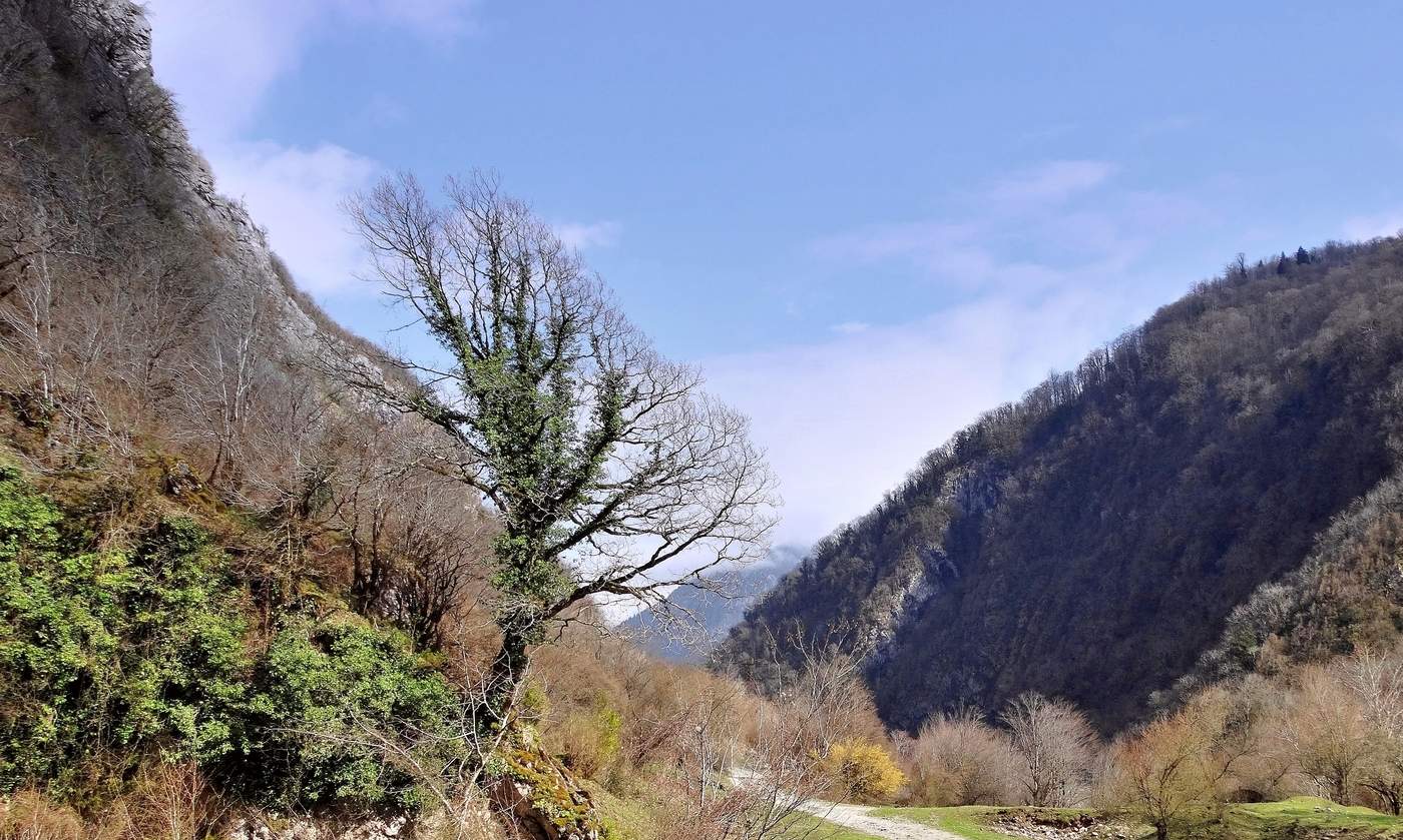 Весна в горах Кавказа