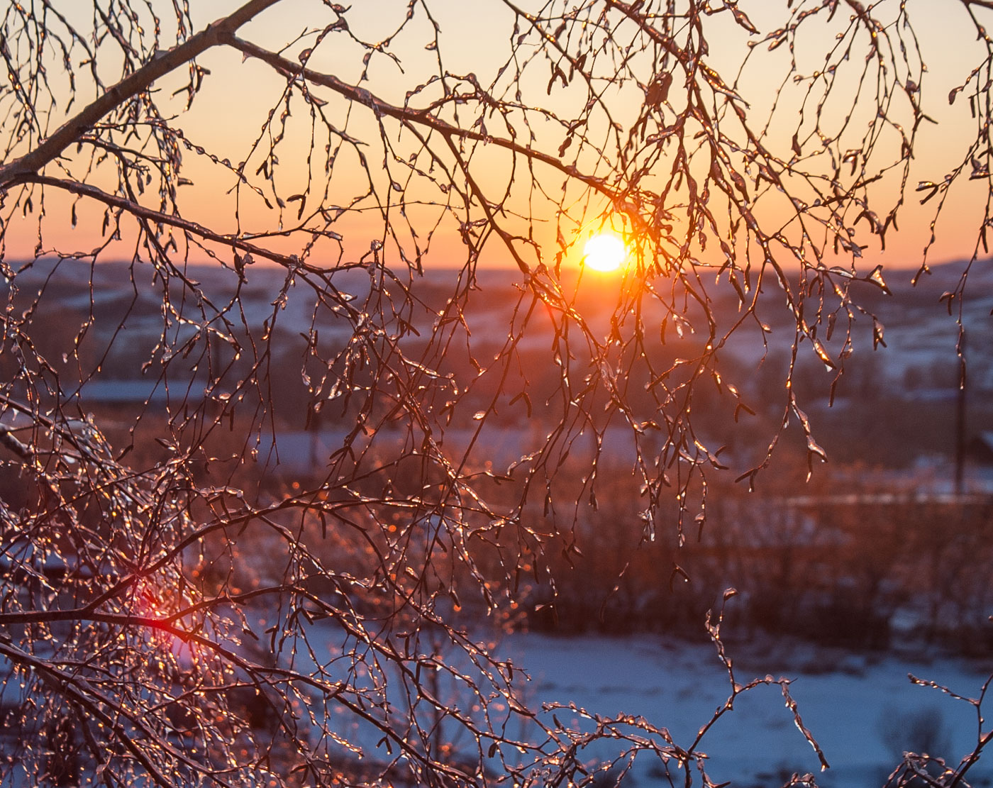 Льдинка, льдинка, скоро май....