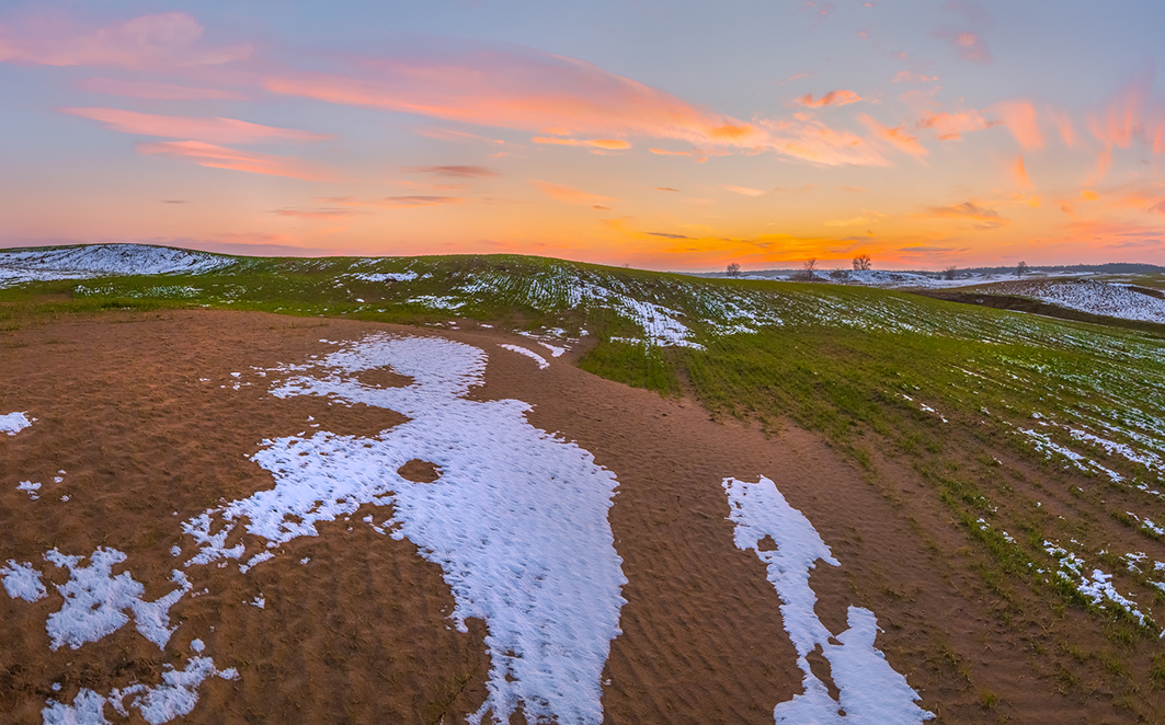 Птица весны