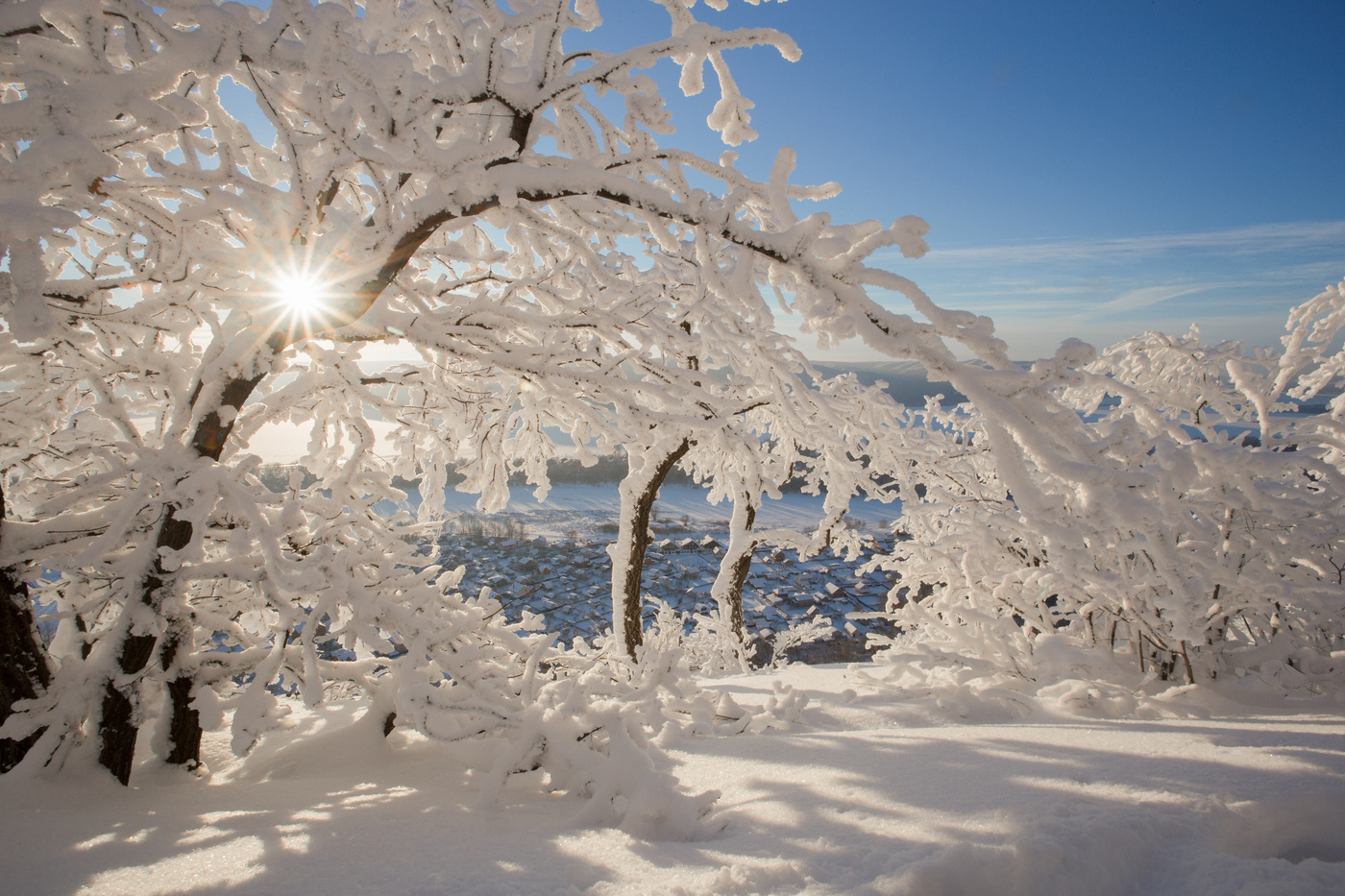 Настоящая зима