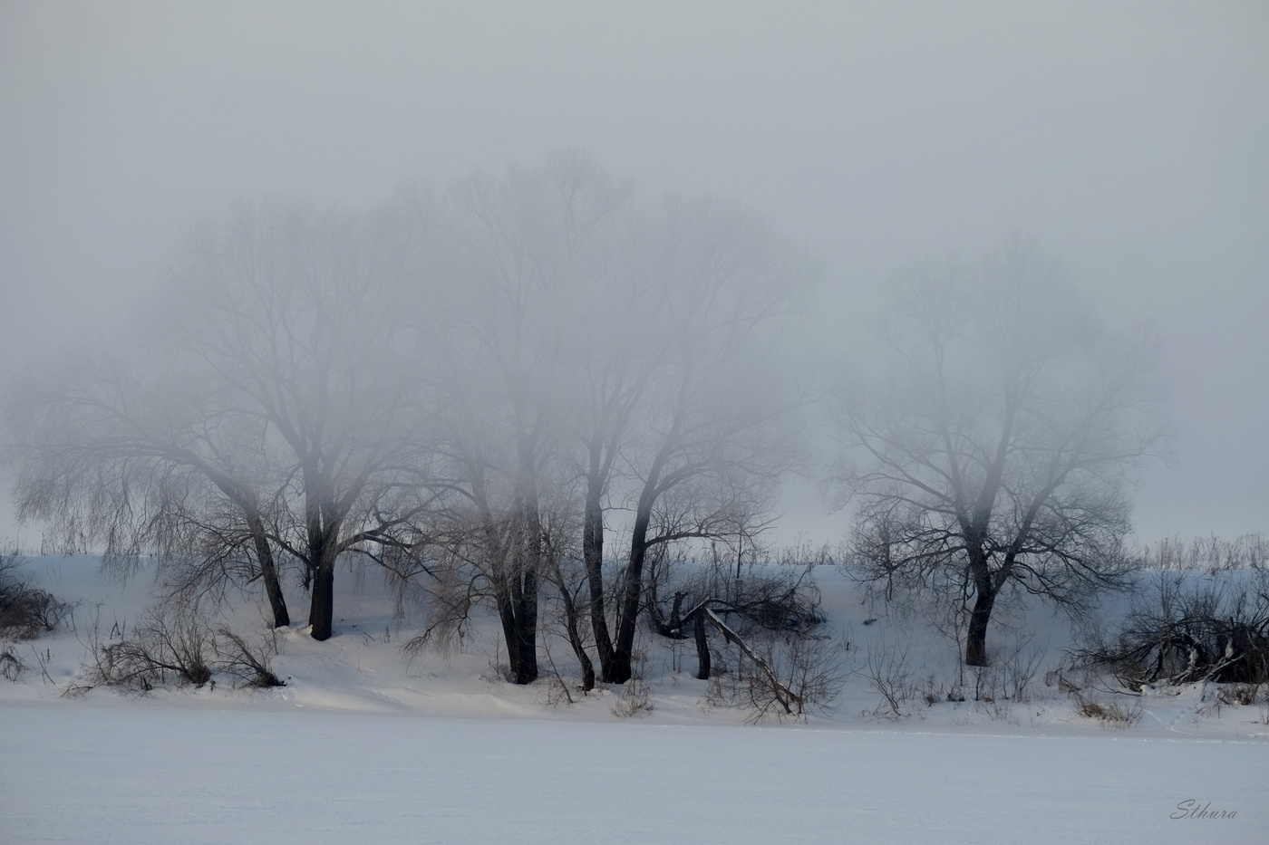 Верхушки в тумане.