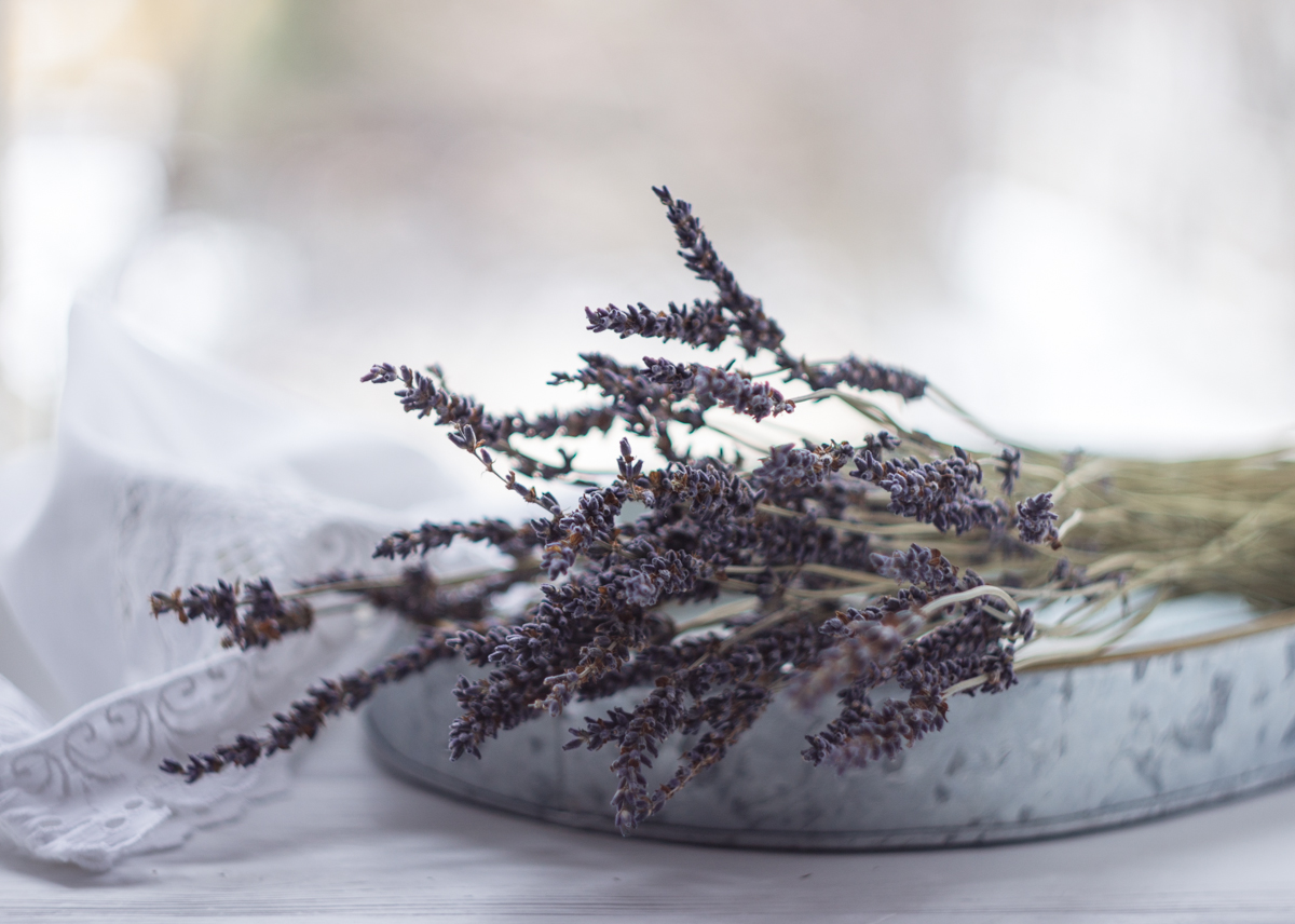 л а в а н д а