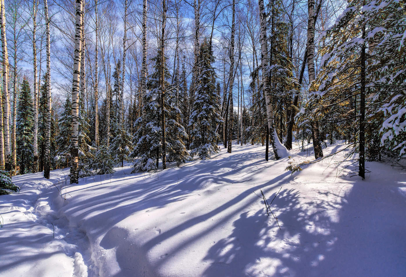 Ещё длинны полуденные тени