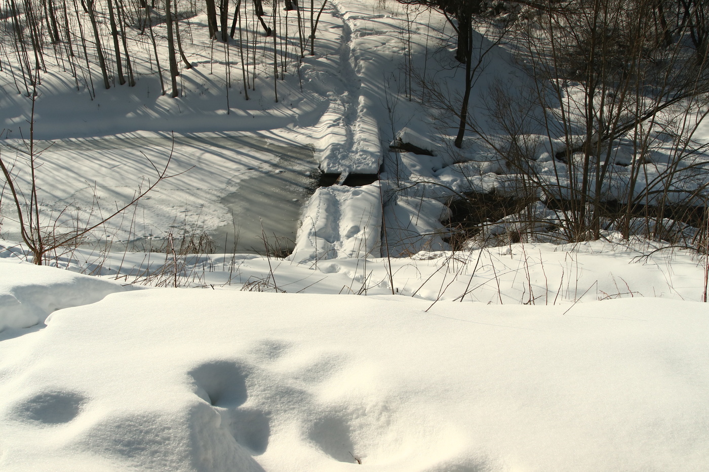 Апрельский этюд