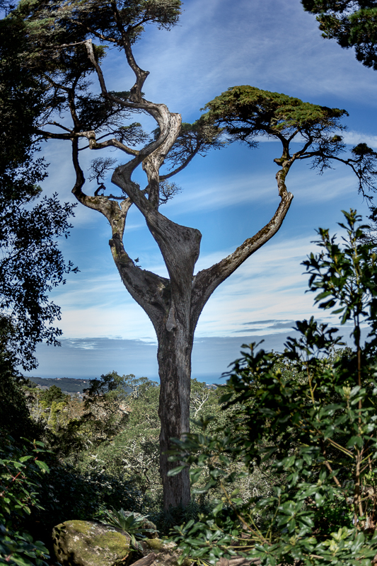 три в одном