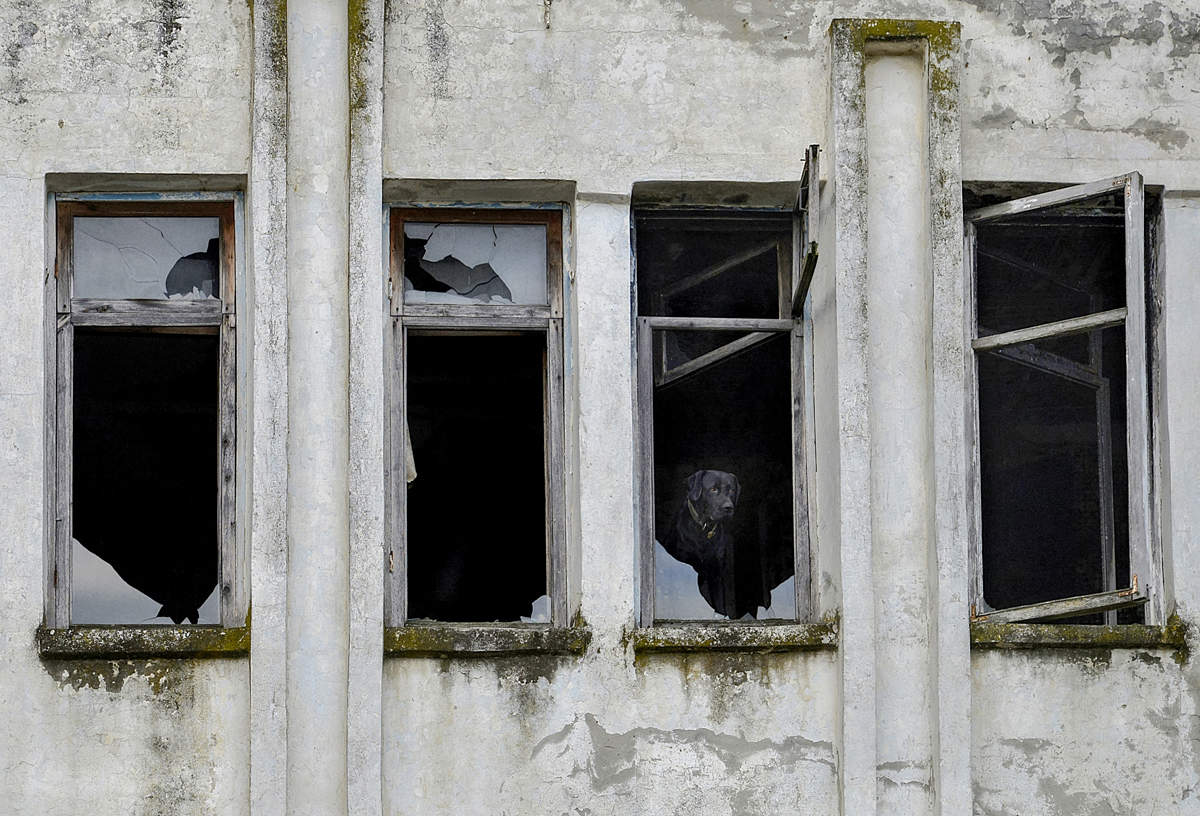 Дом, в котором живёт Джек...