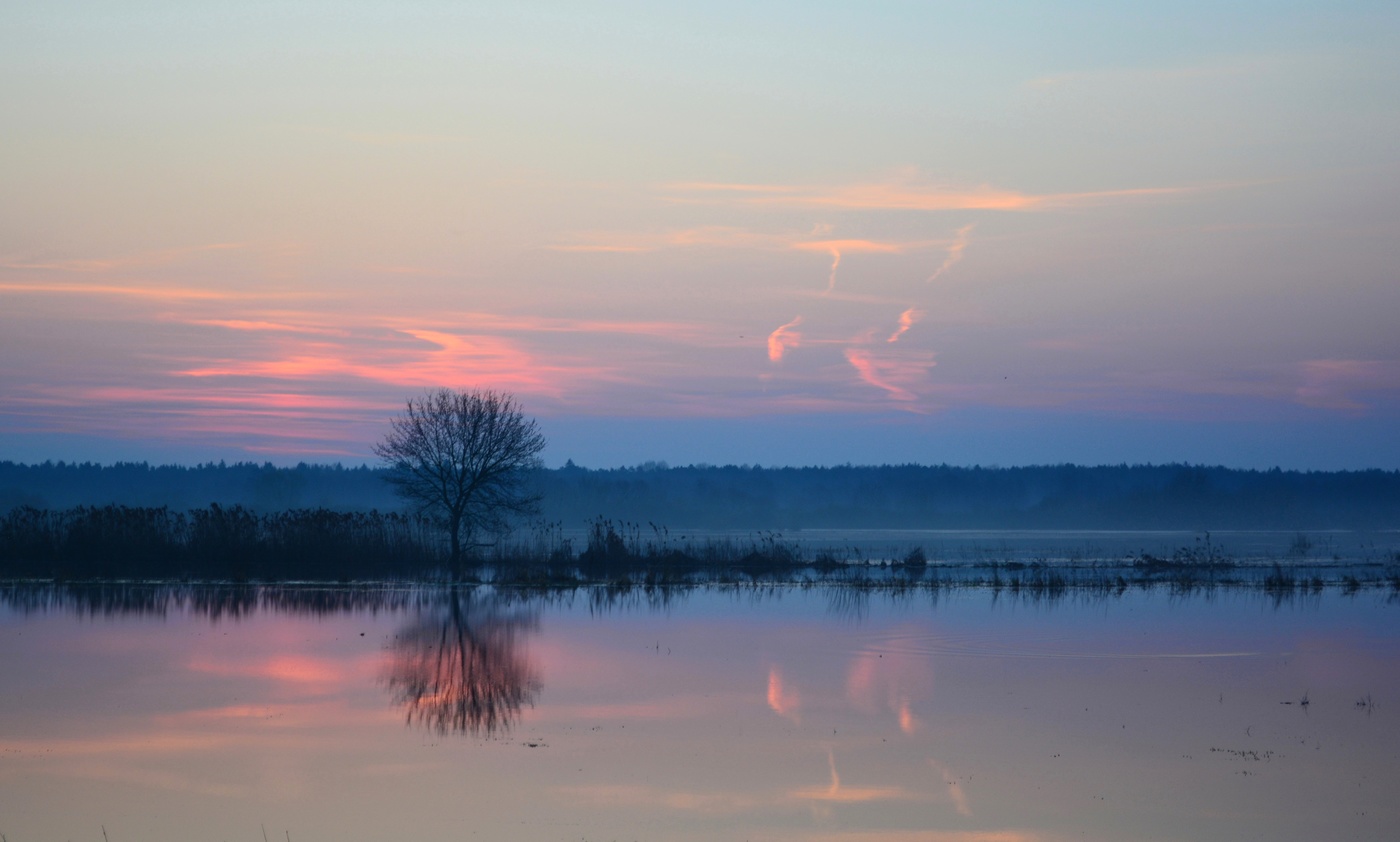 Апрельские зори