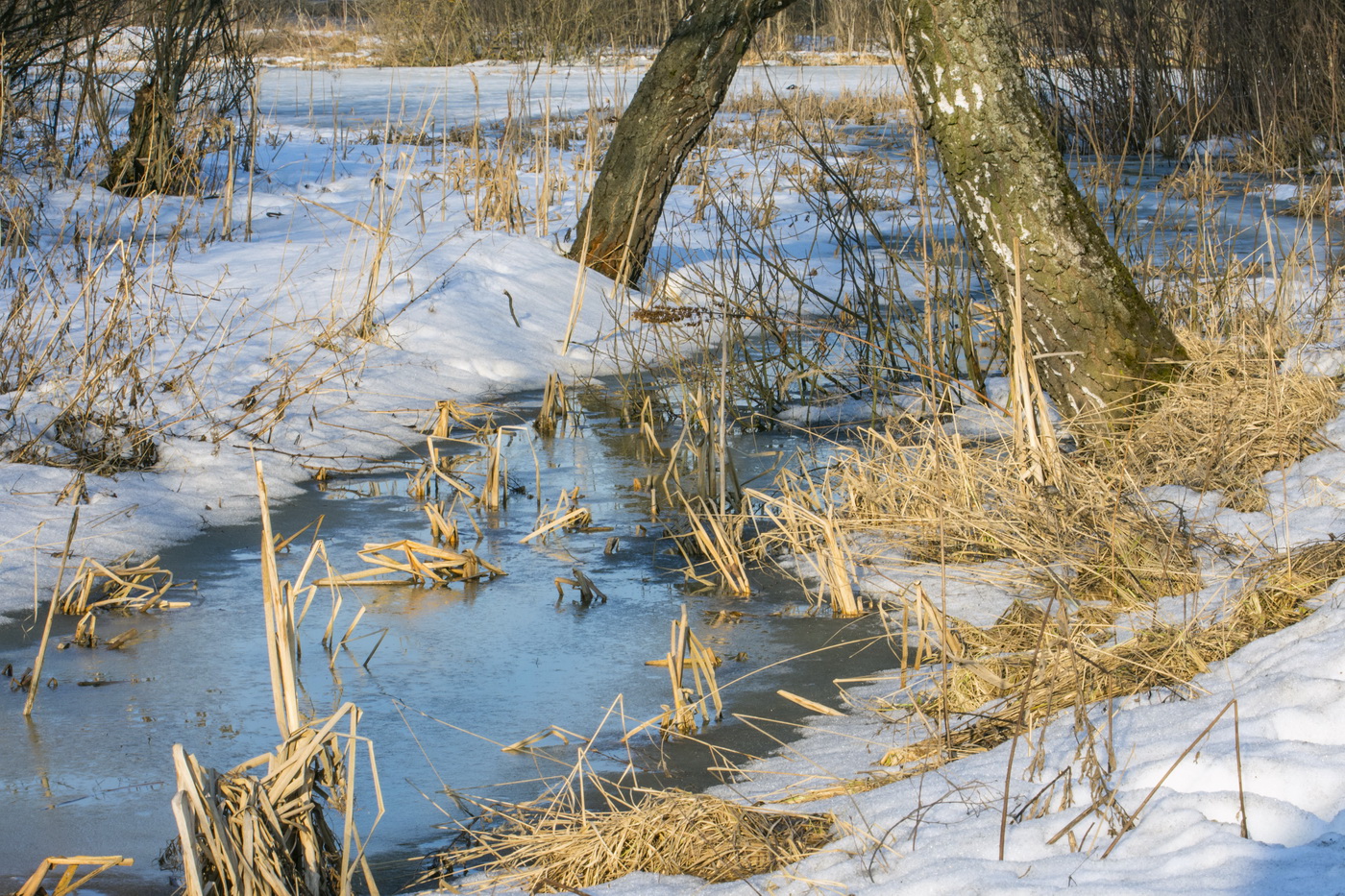 Первые ручьи