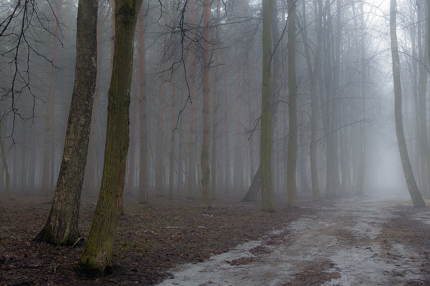 Апрельские туманы