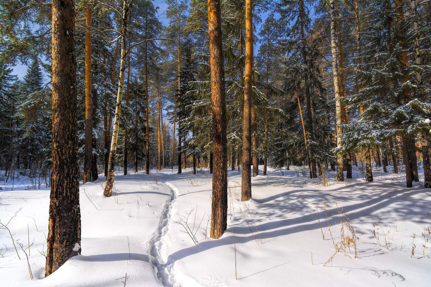 Погожий денек