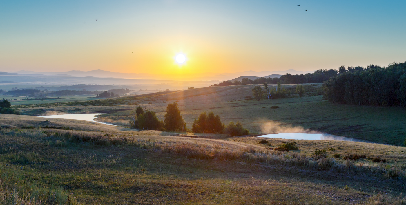 Летнее утро