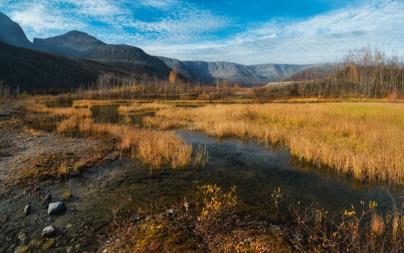 Болото под ногами и бастионы на горизонте