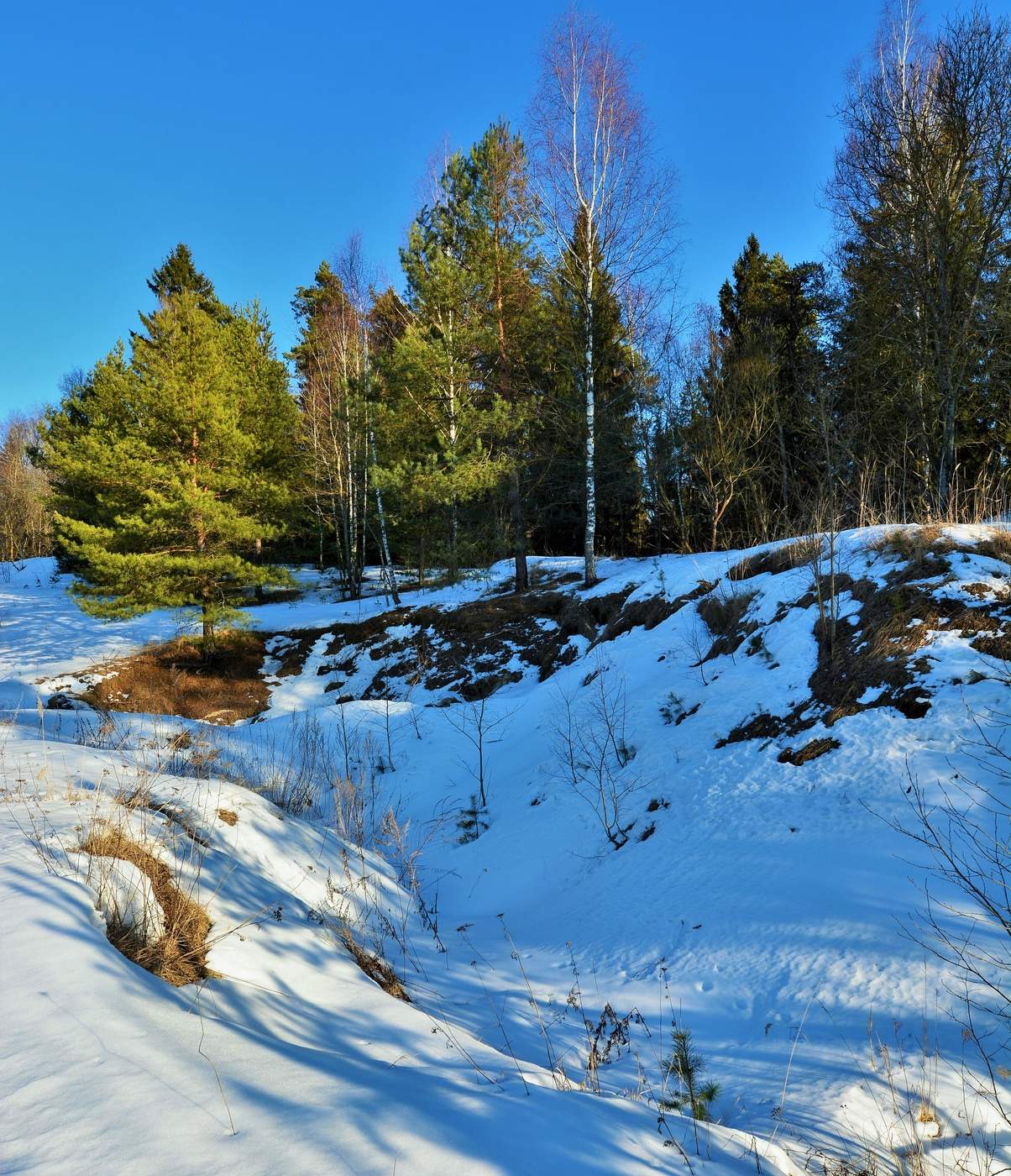 "Еще природа не проснулась ..."