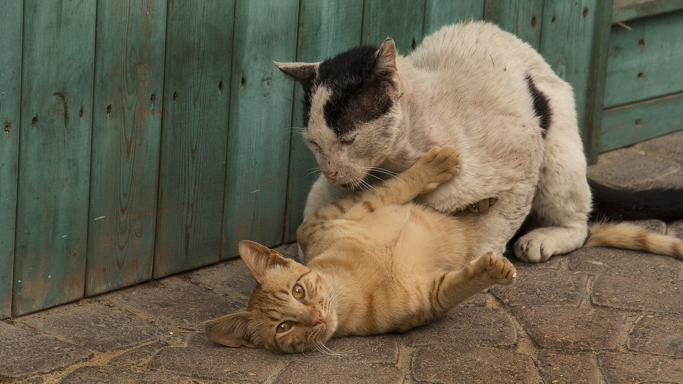Не исторический момент