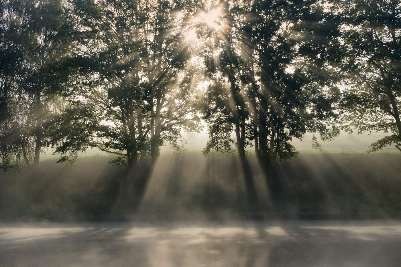 Майские рассветные лучи