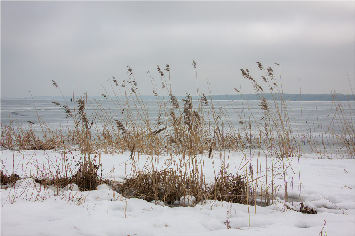 Март на минском море