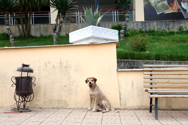 Не исторический момент