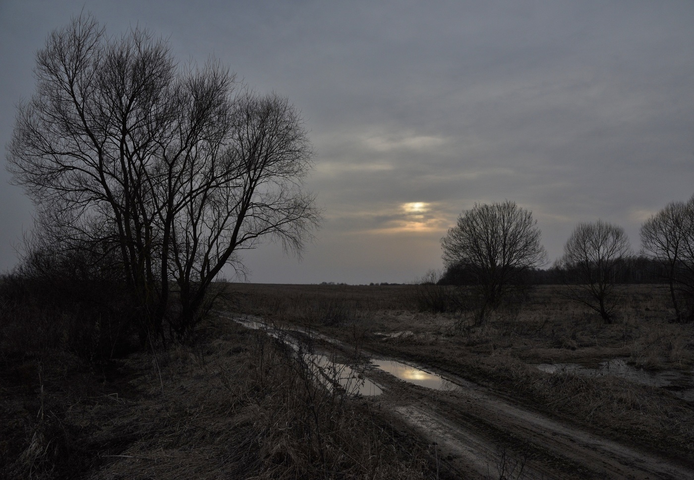 "Сырое поле: пустота ..."