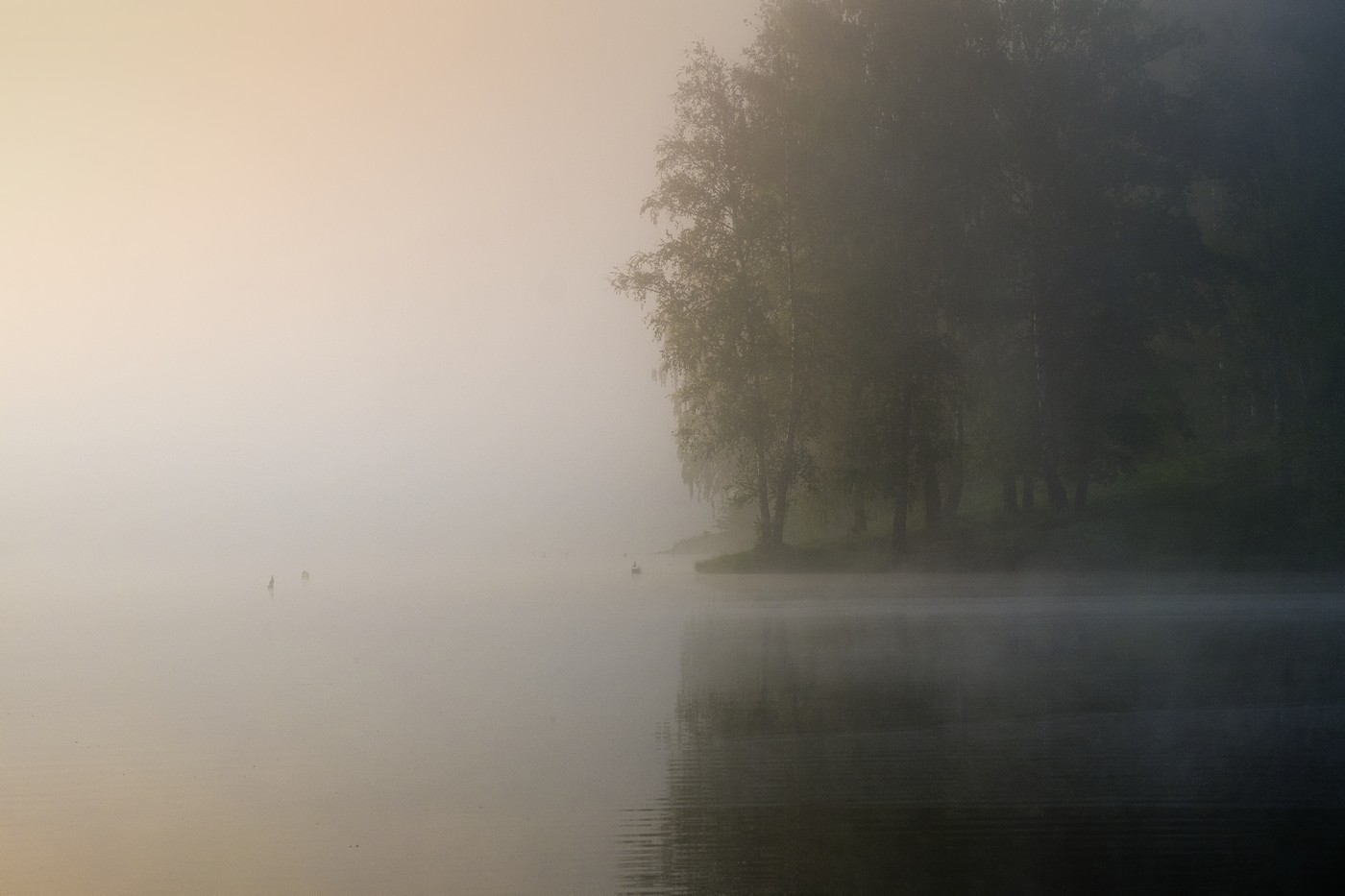 У кромки воды