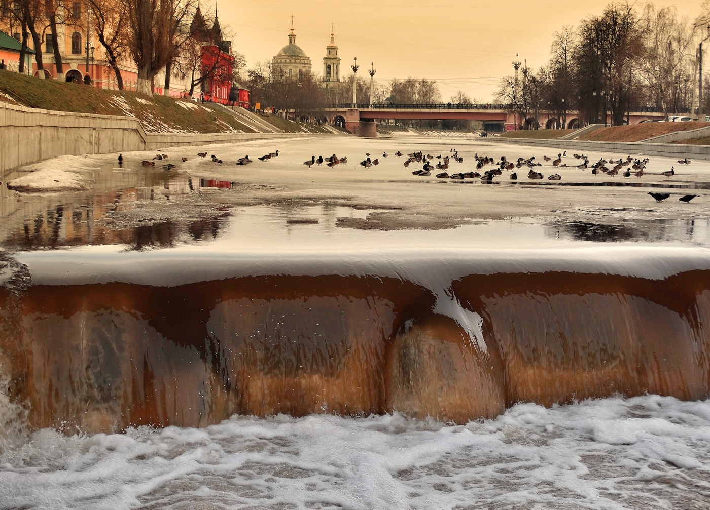 Орлик разбушевался