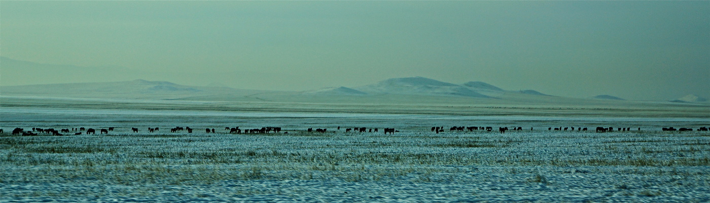 В хакасской степи