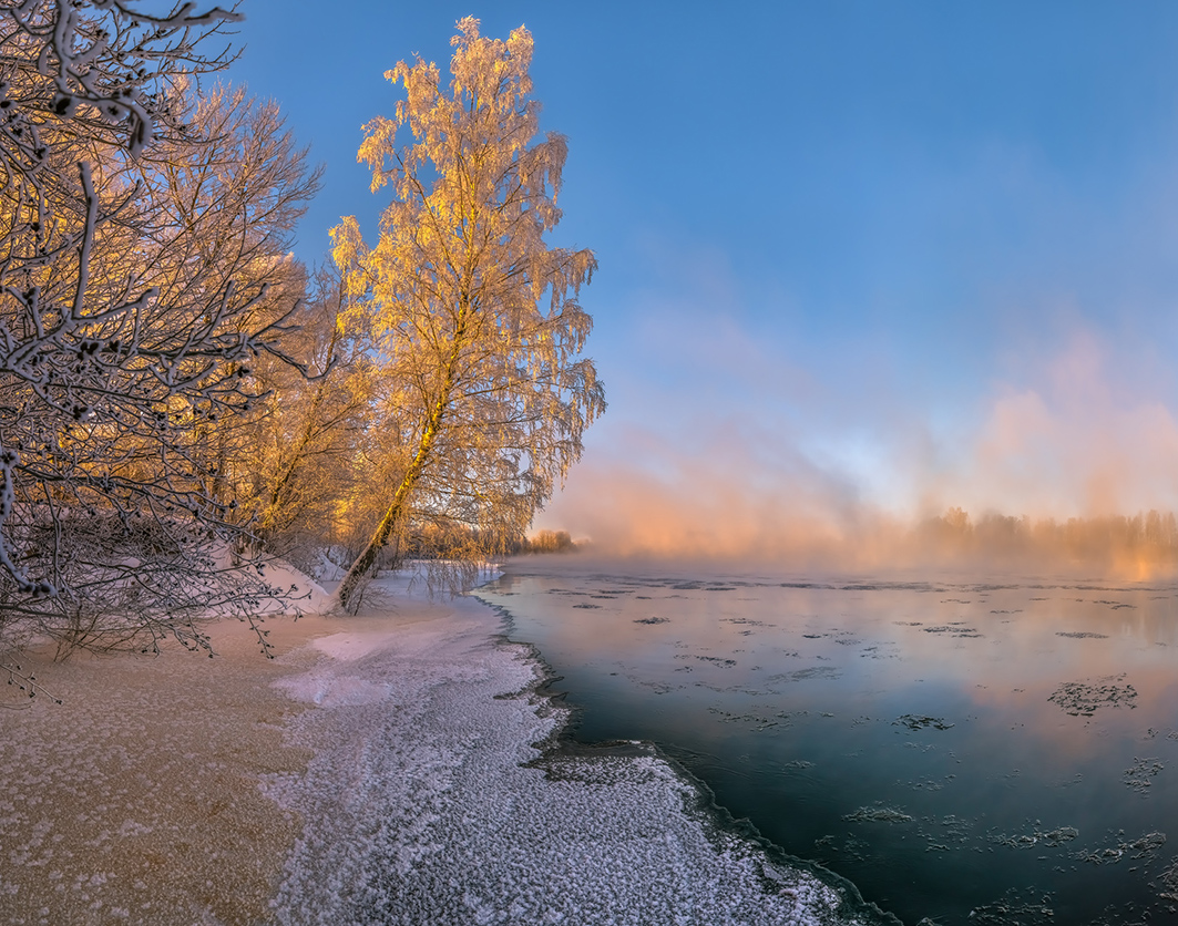 Берёза на берегу реки