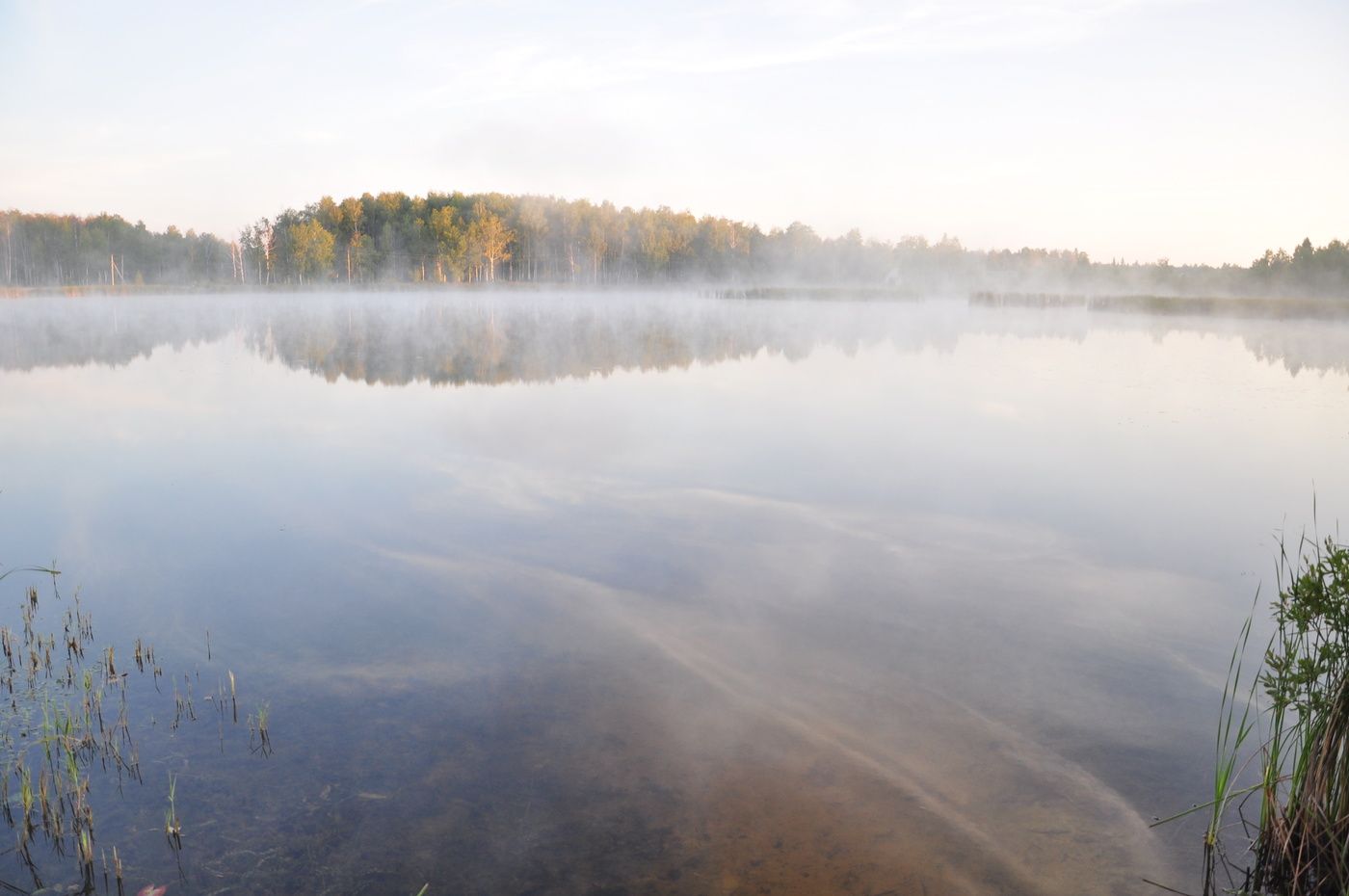 Утро на лесном озере.