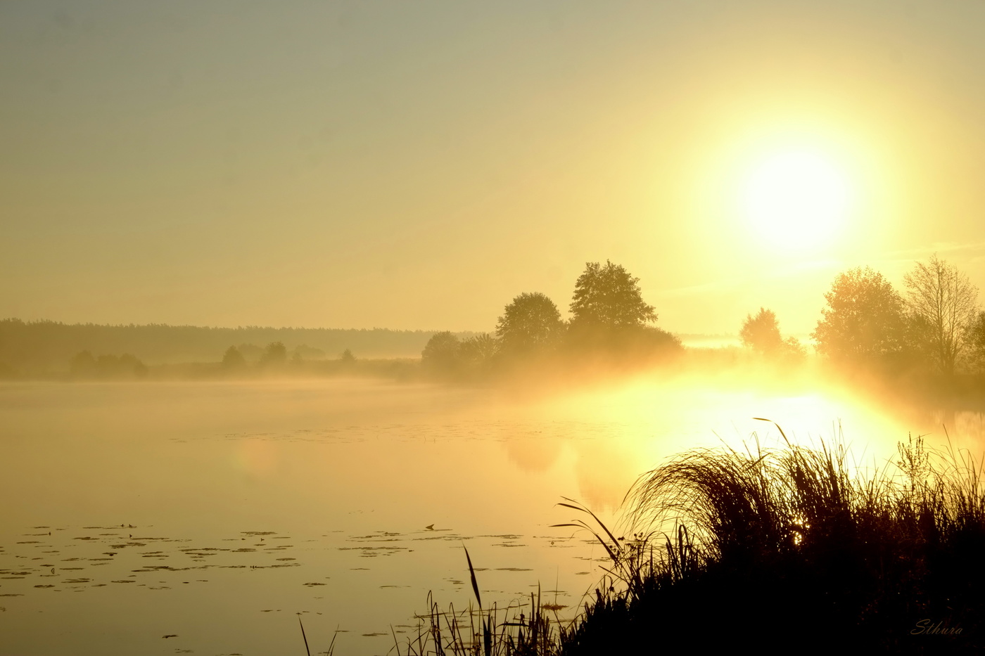 Утренний туман.