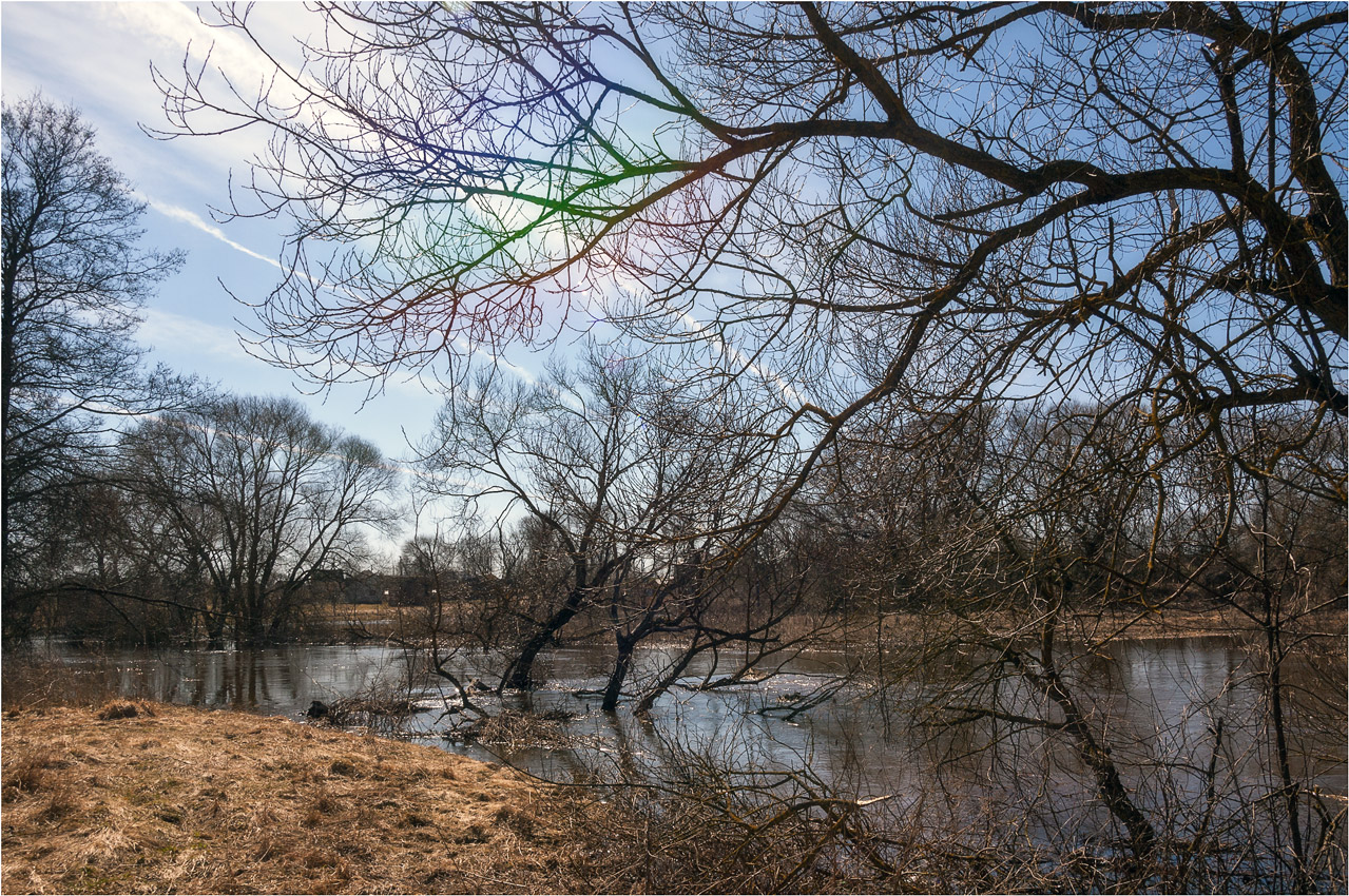 Птичь в апреле