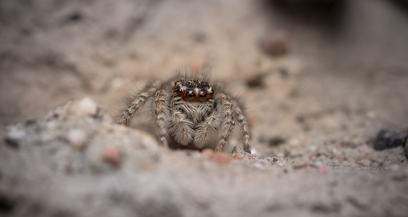 Совсем ещё малыш...
