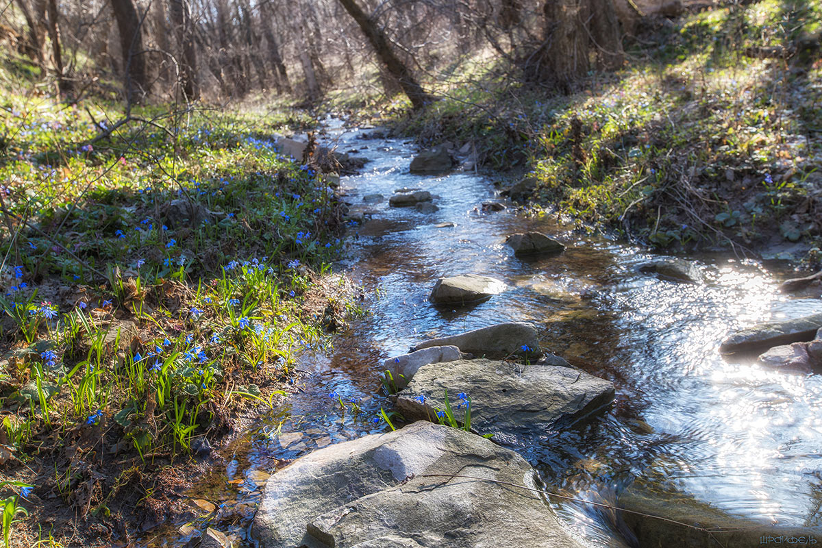 Наконец-то :)