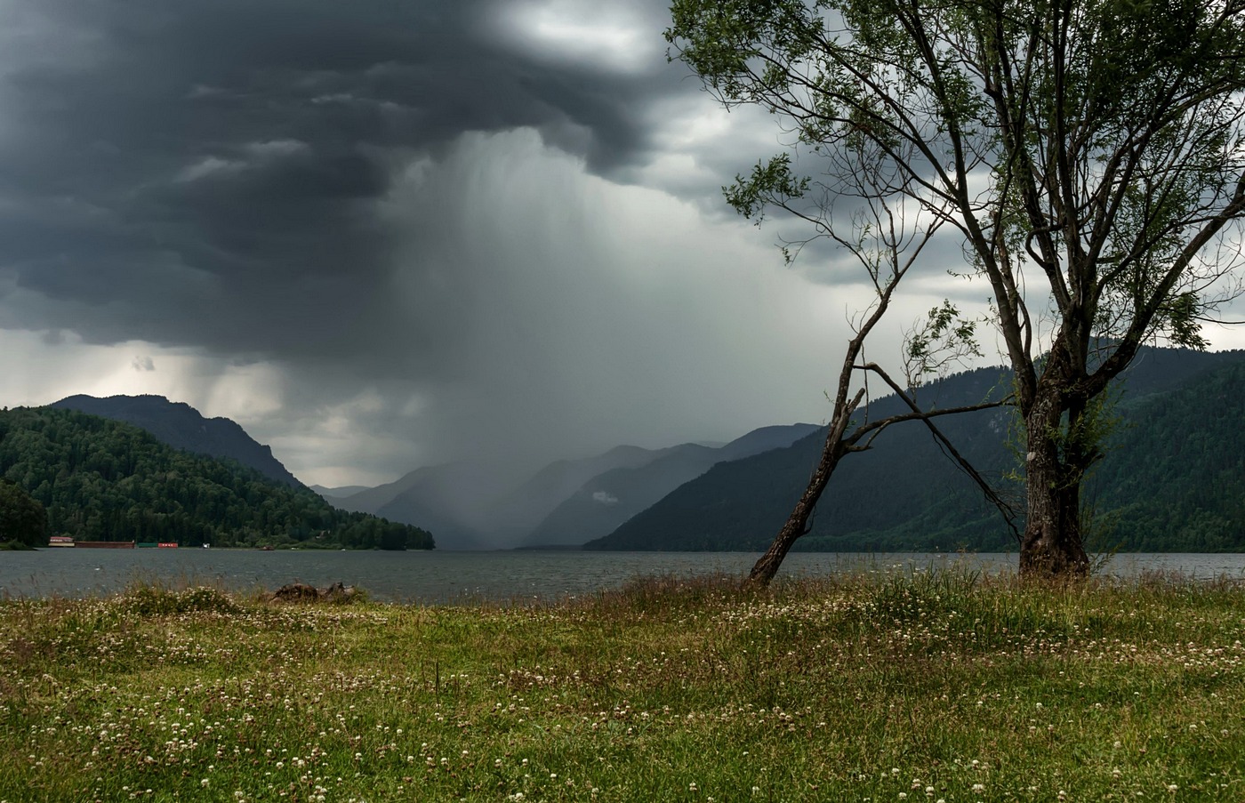 Летний дождь.