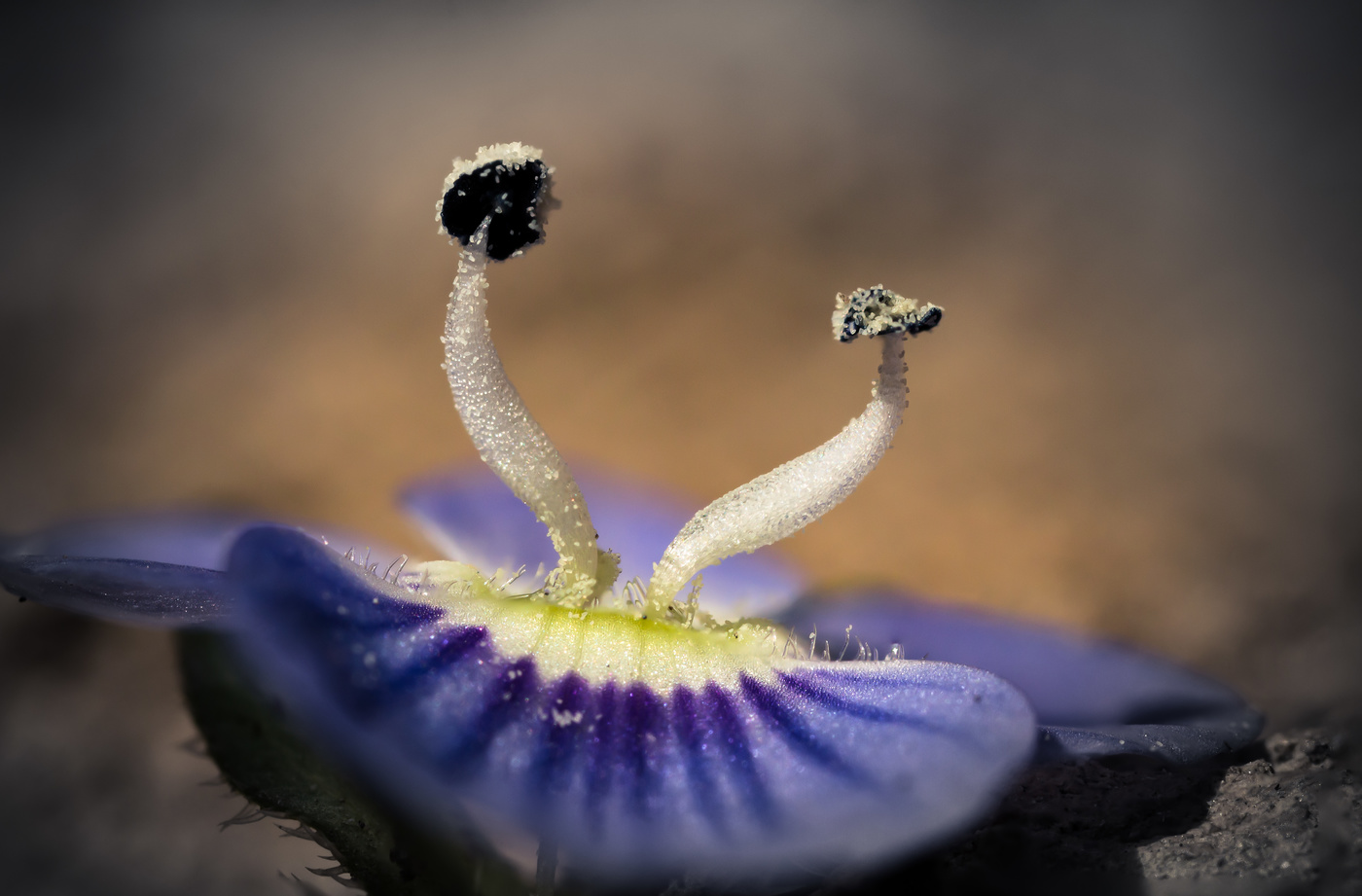 Танец вдвоём...