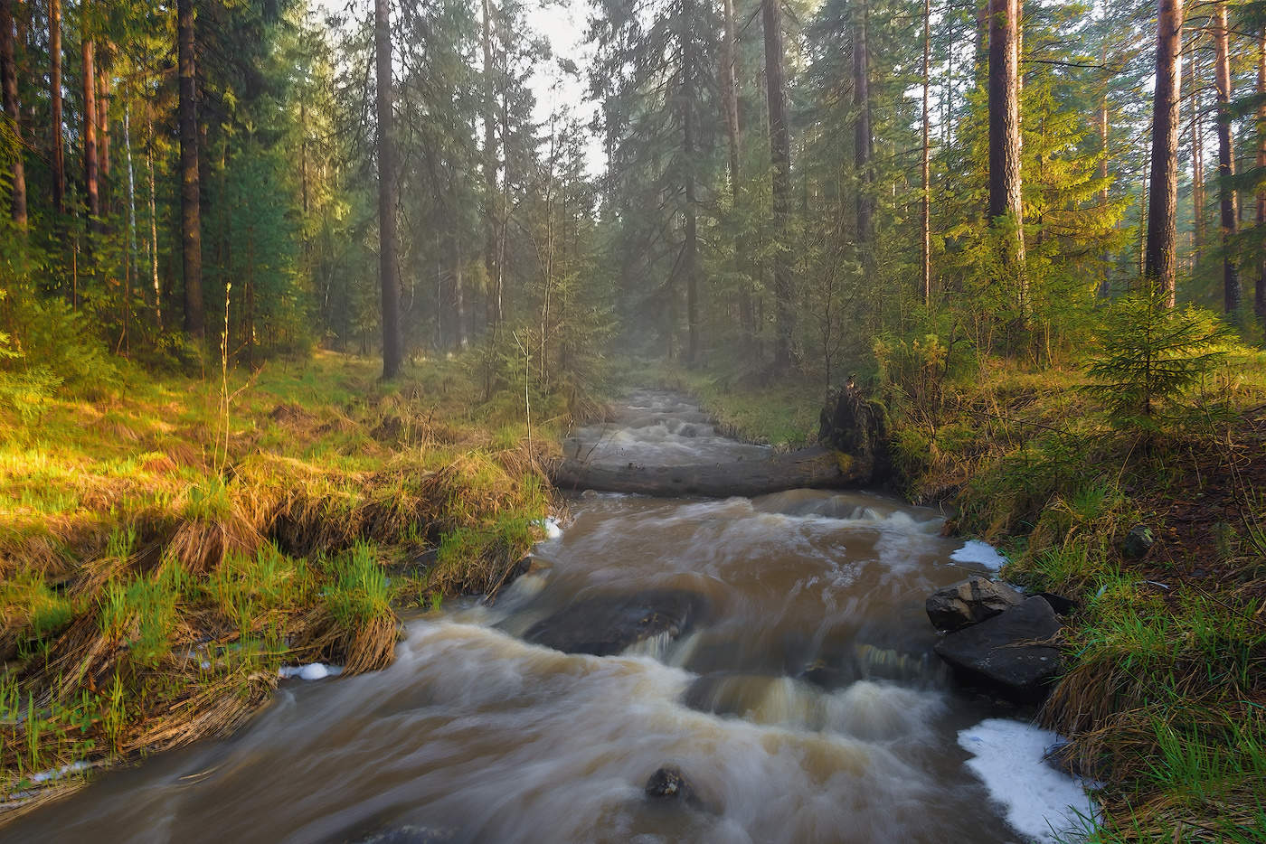 Весенний воздух - дух надежды, Зимы смываются одежды.