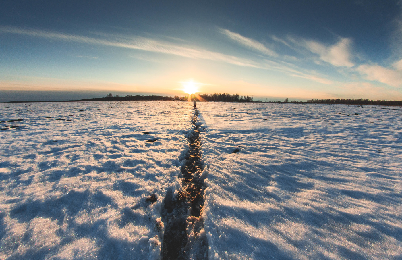 Весенней тропой