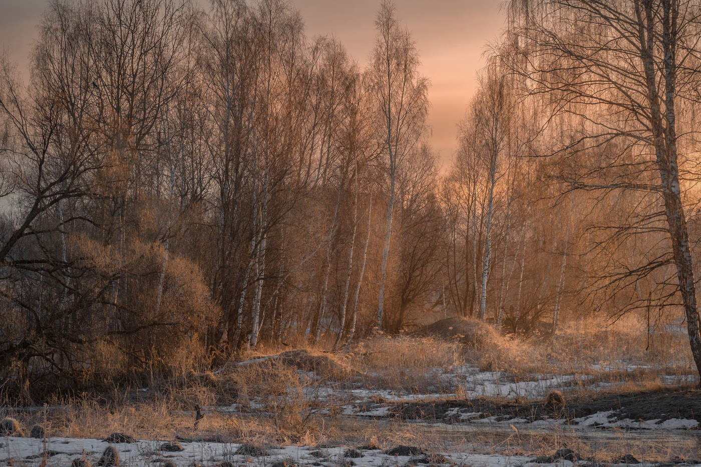 Весна пришла