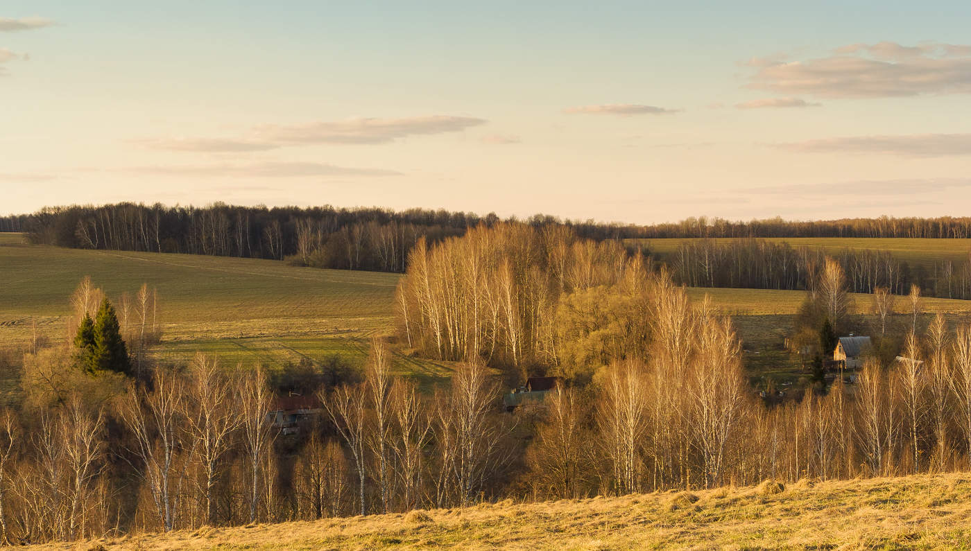 Мягкий свет на закате дня