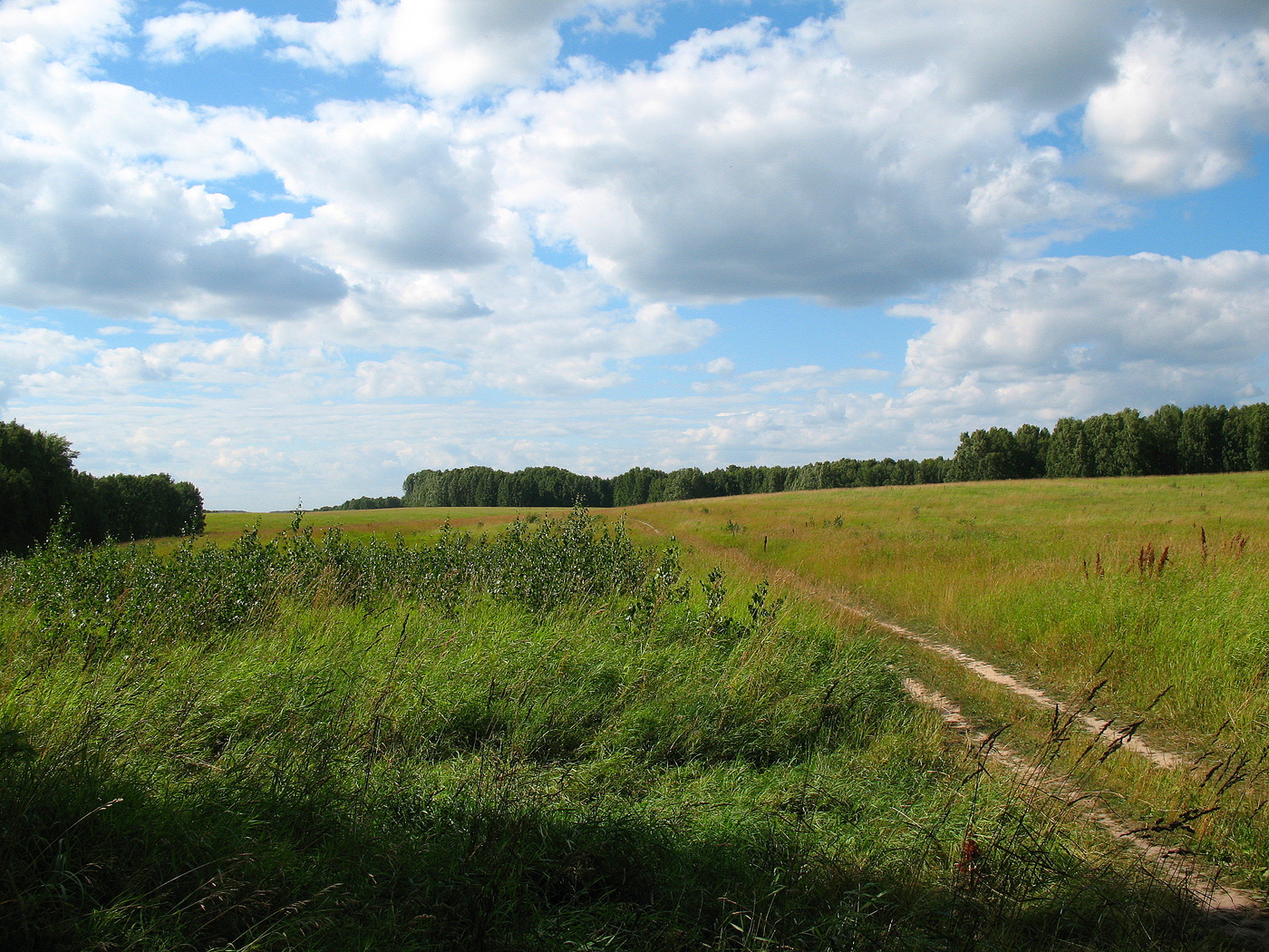 Небо,поле,лес,дорога