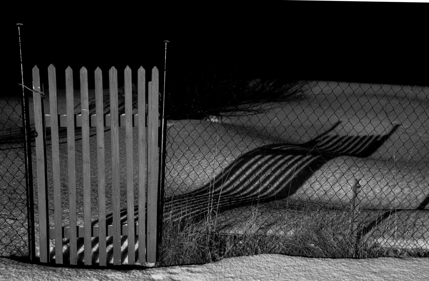 Горизонт событий