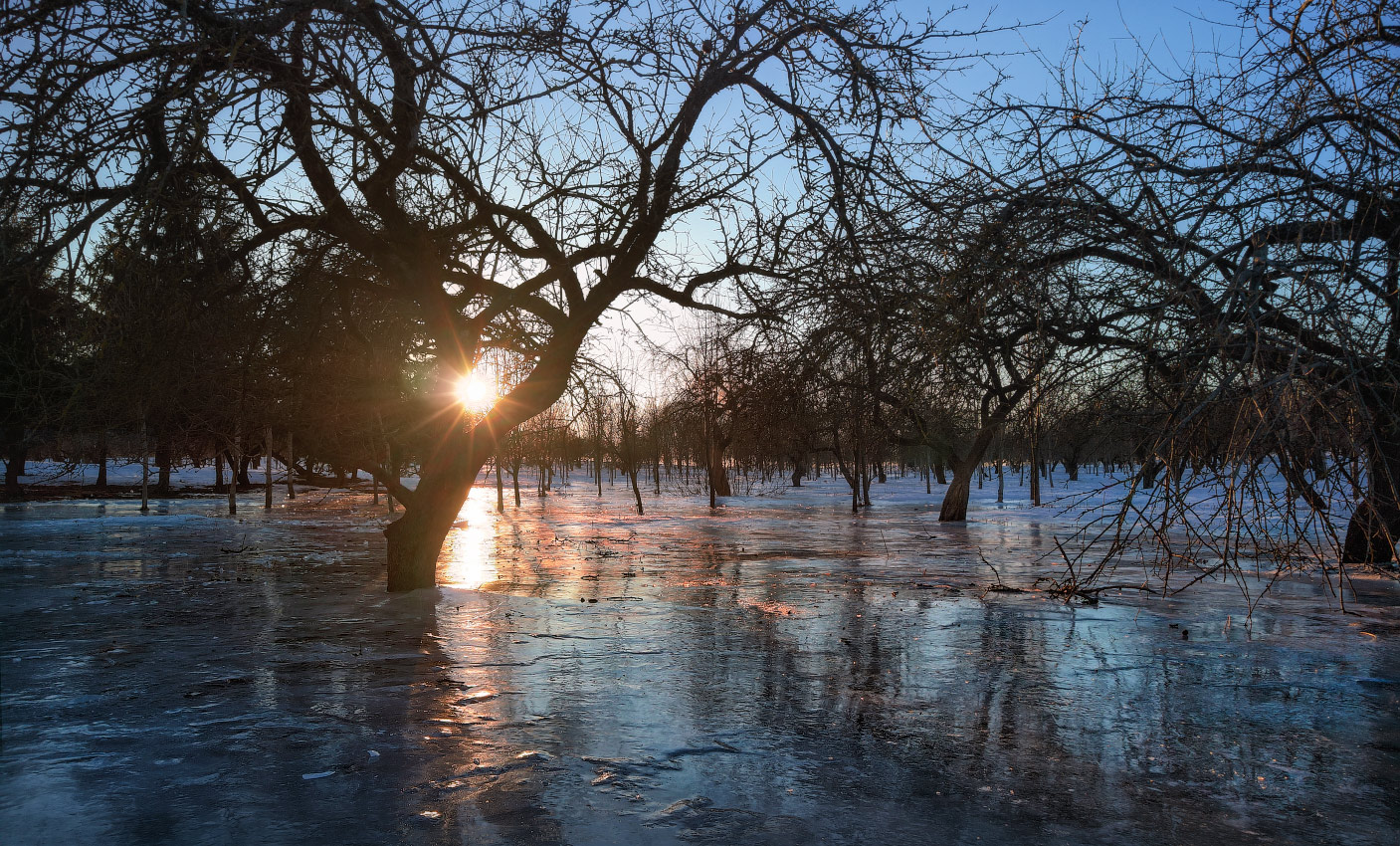 Скованные льдом