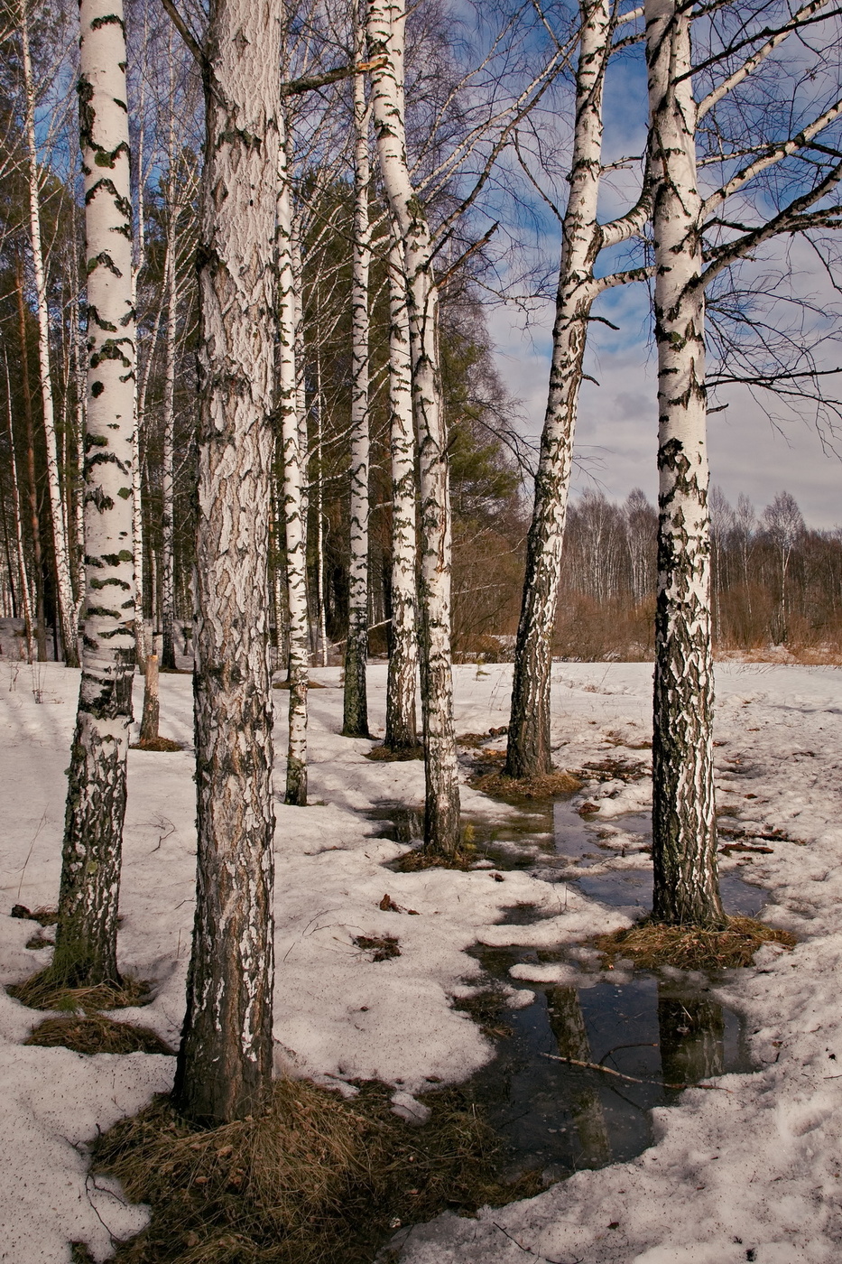 ВЕСЕННЕЕ НАСТРОЕНИЕ