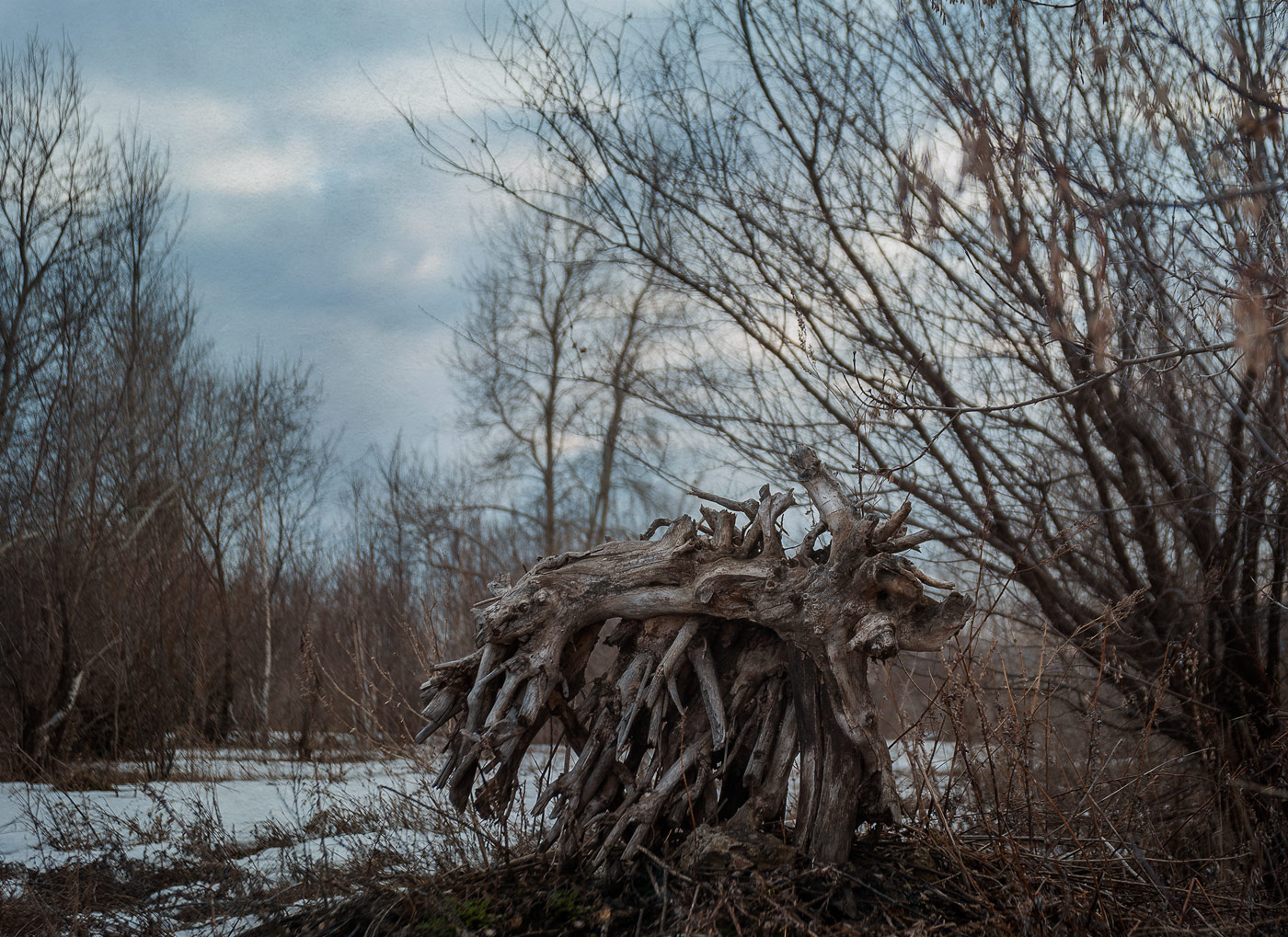 Фактурная коряга