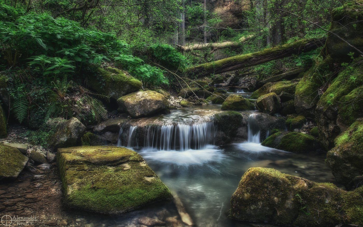 В зеленом царстве Берендея...