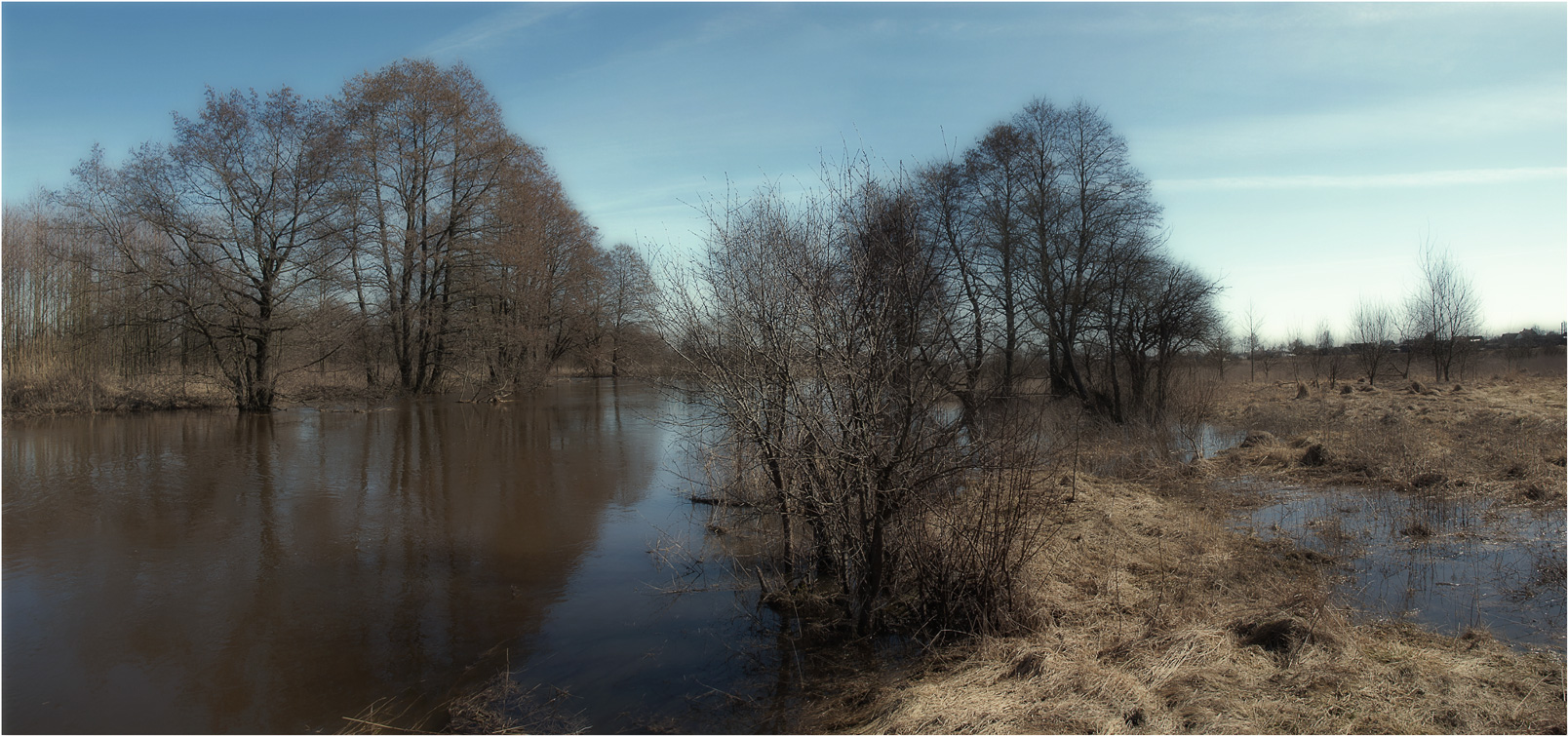 Птичь. Разливы.